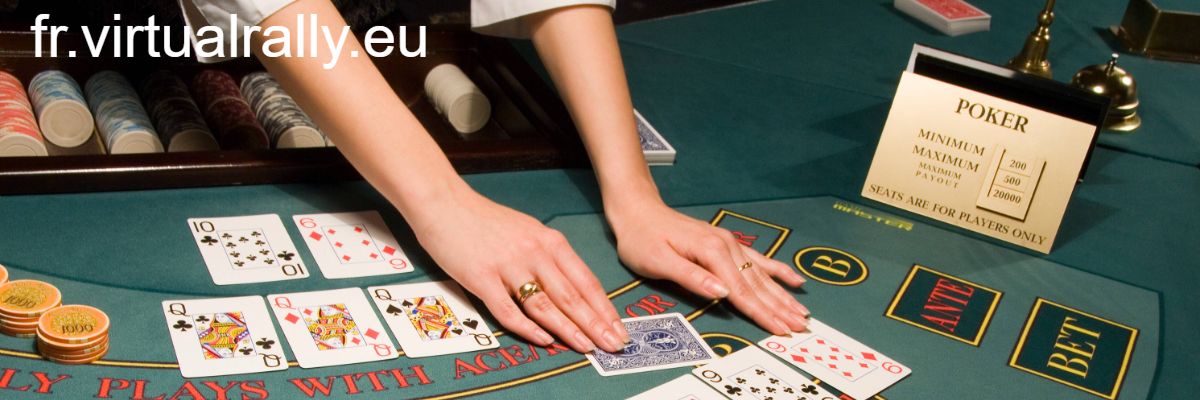 fr.virtualrally.eu